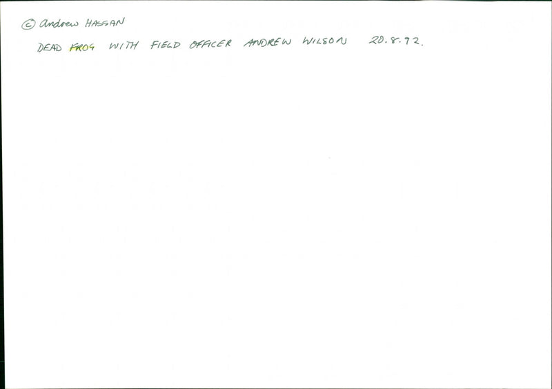 Frog - Vintage Photograph