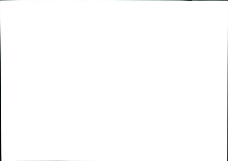 Rabbit Hunting - Vintage Photograph