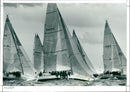 Fastnet - Vintage Photograph