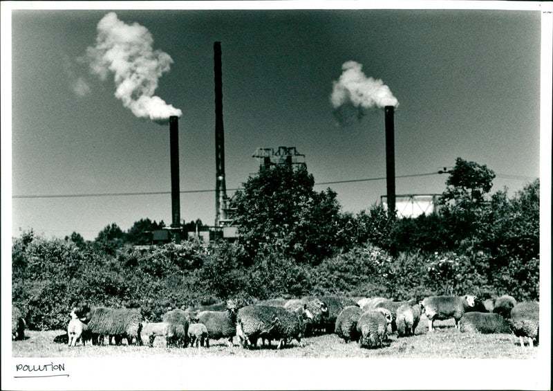 Pollution - Vintage Photograph