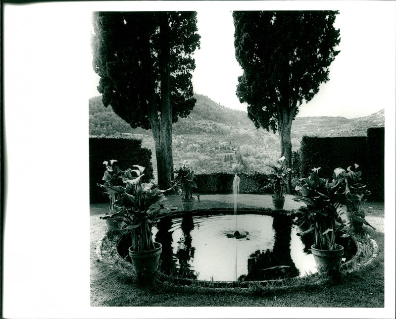 Pond's - Vintage Photograph