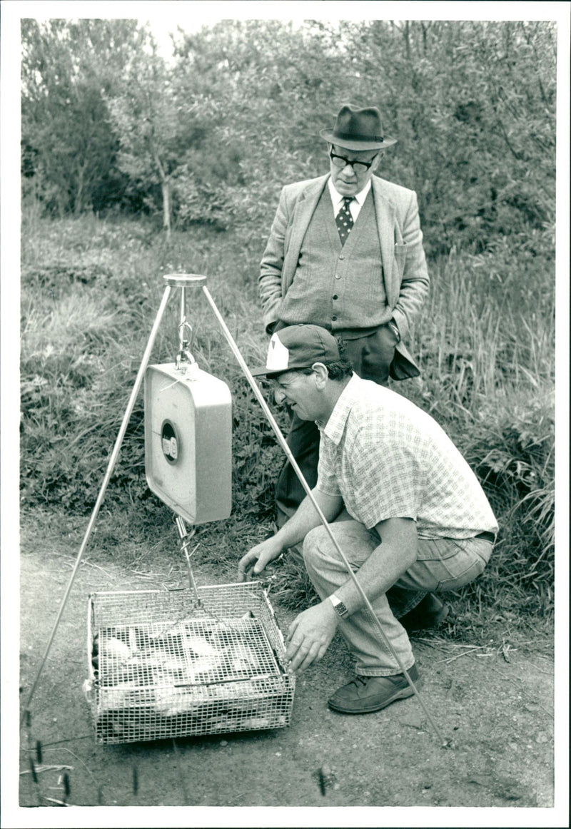 Fishing - Vintage Photograph