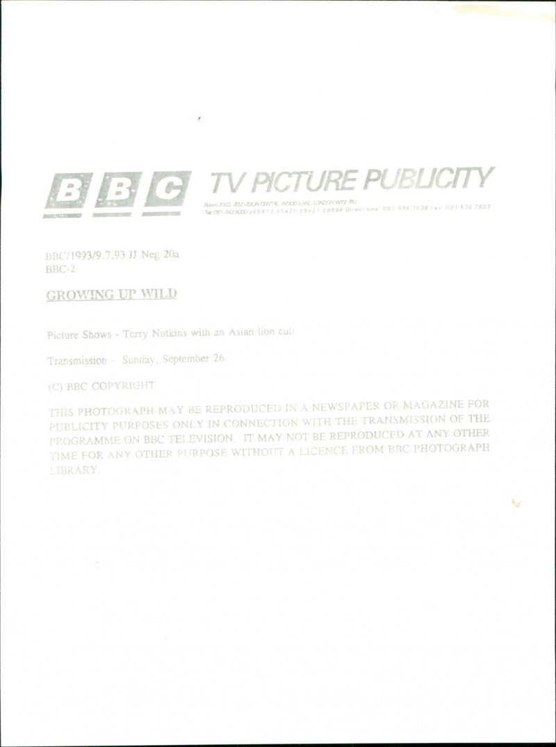 Terry Nutkins with an Asian lion club in "Growing Up Wild" - Vintage Photograph