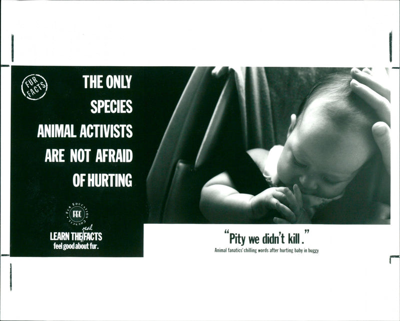 ANIMAL LIBERATION - X - Vintage Photograph