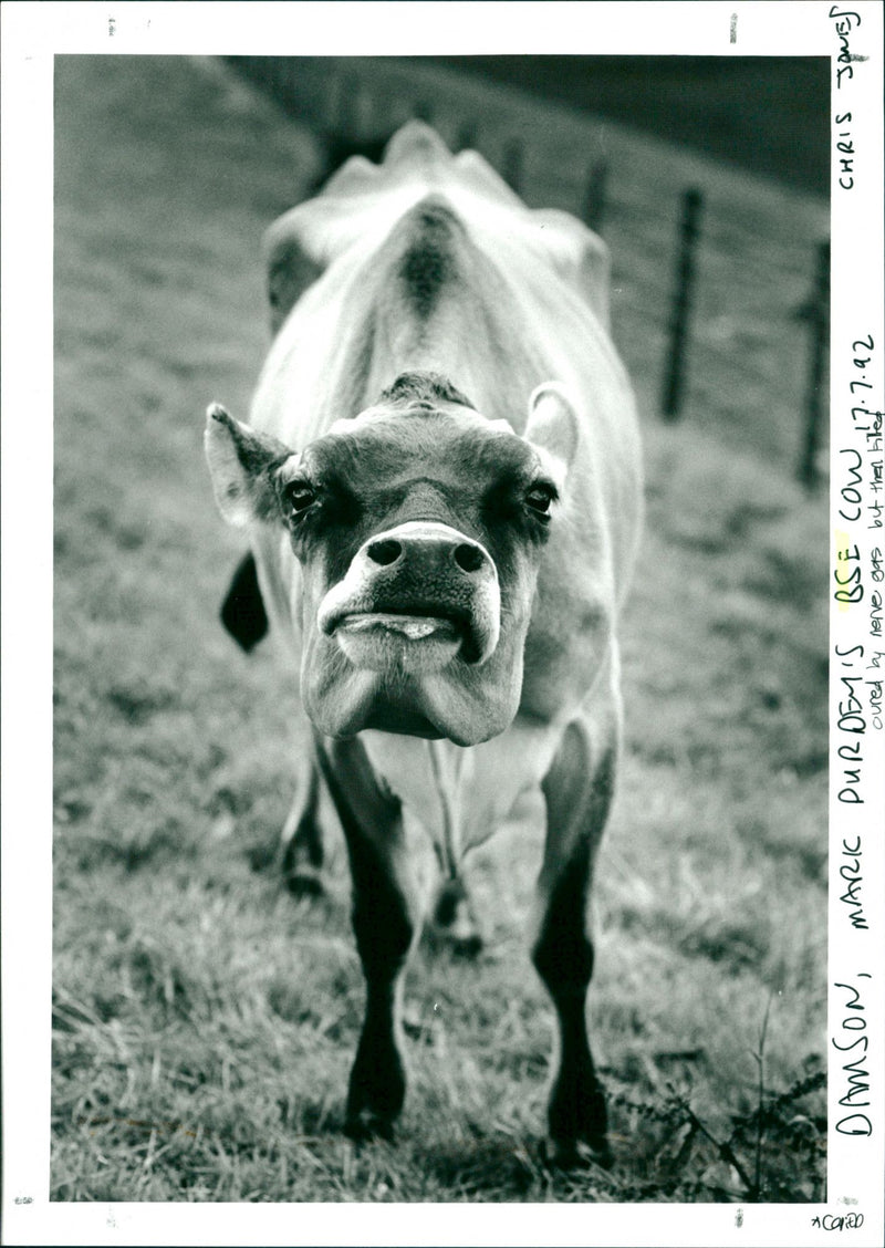 BSE - Vintage Photograph