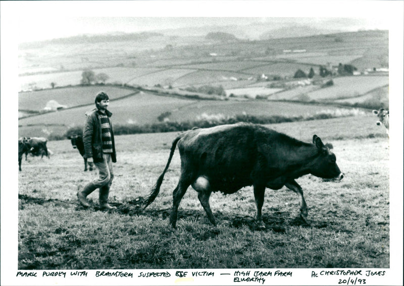 BSE - Vintage Photograph