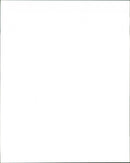 "THE STRIKE - Vintage Photograph