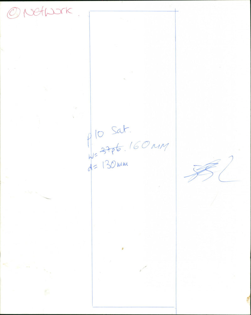 Dogs - Vintage Photograph