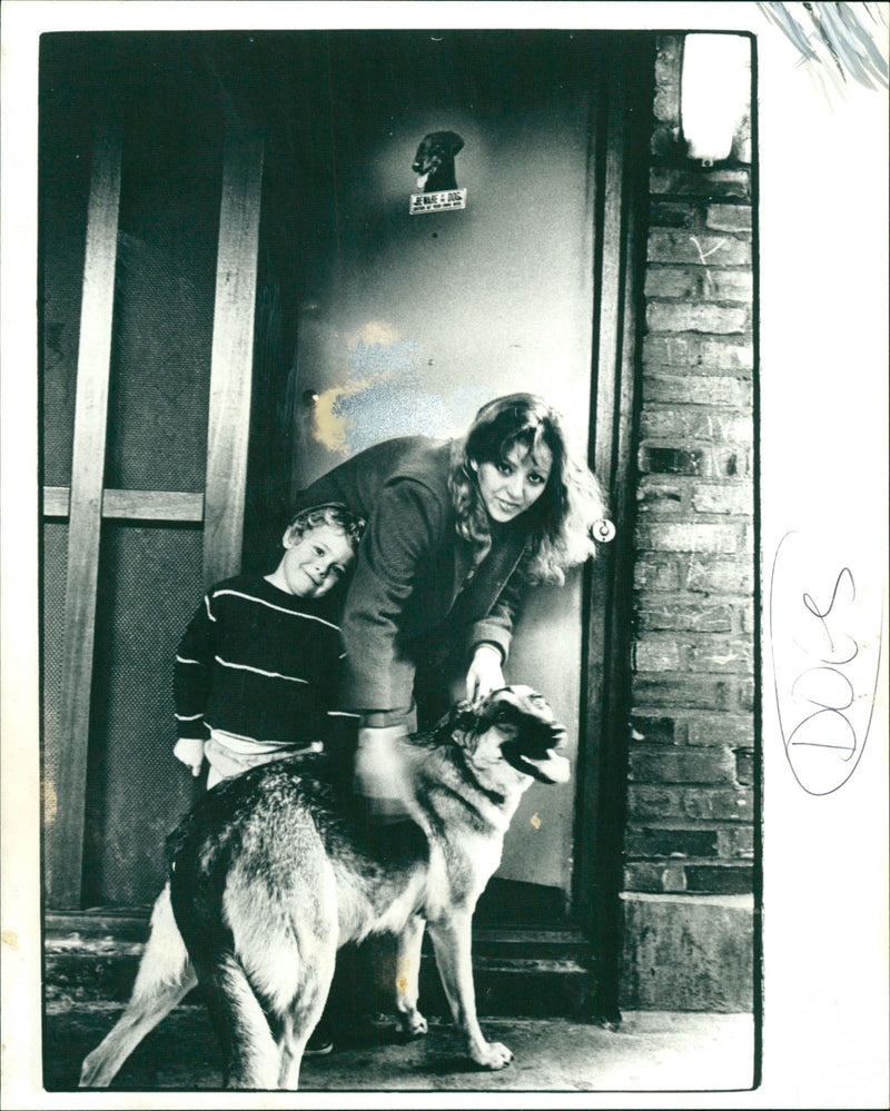 Dogs - Vintage Photograph