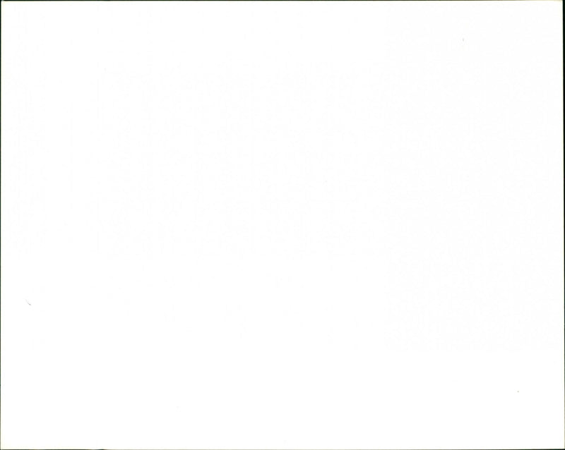 Dogs - Vintage Photograph