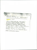 Dogs - Vintage Photograph