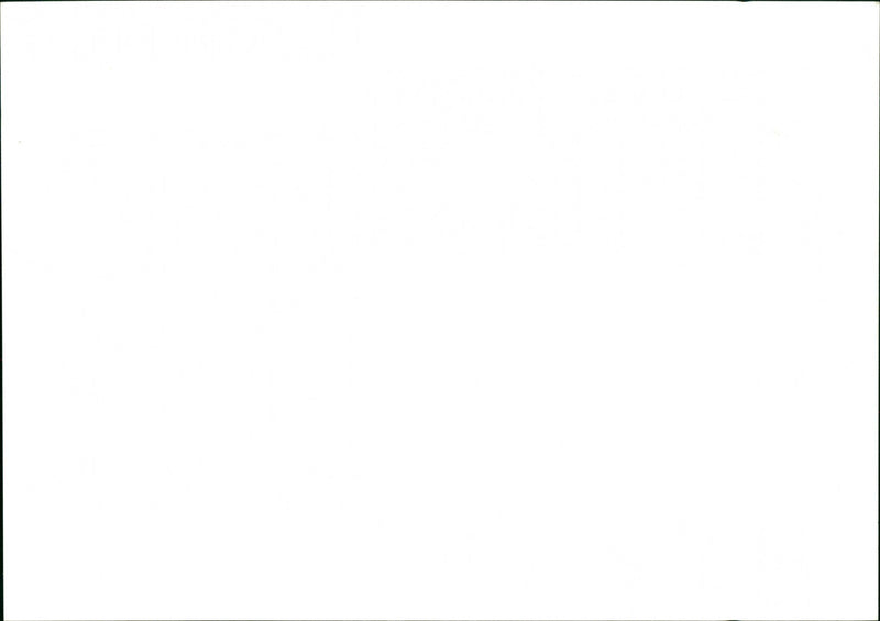 Dog - Vintage Photograph