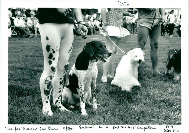Dog - Vintage Photograph