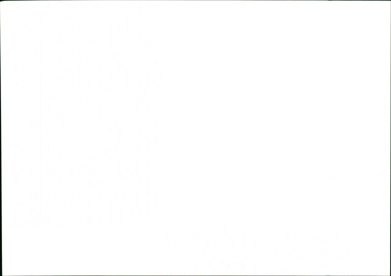 Dog - Vintage Photograph