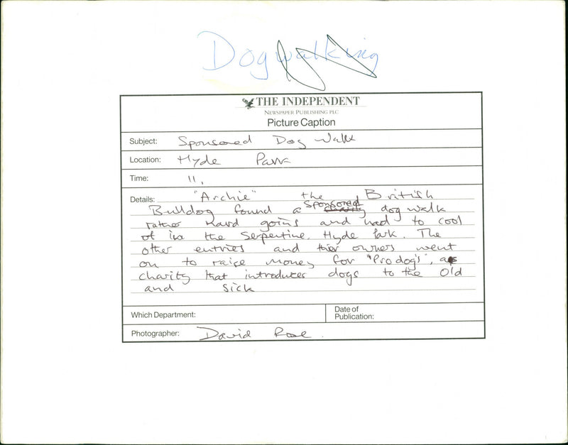 Dog - Vintage Photograph