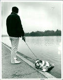 Dog - Vintage Photograph