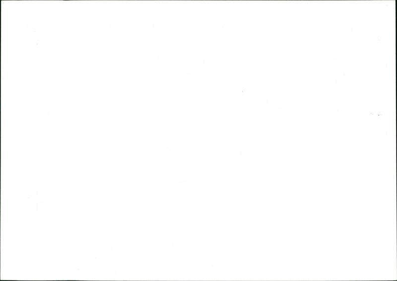 Dog - Vintage Photograph