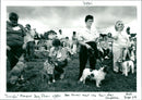 Dogs - Vintage Photograph