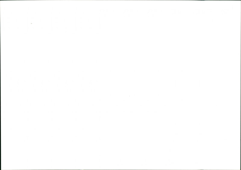 Dogs - Vintage Photograph