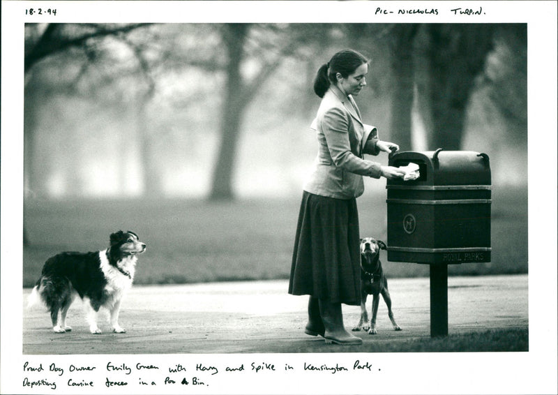 Dogs - Vintage Photograph