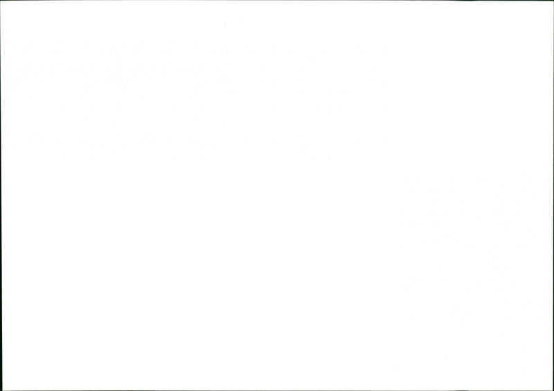 Dogs - Vintage Photograph