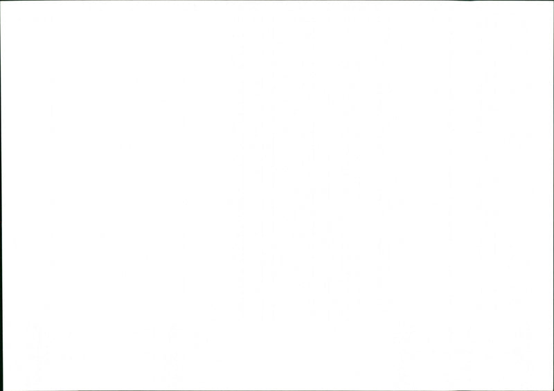 Dogs - Vintage Photograph