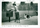 Dogs - Vintage Photograph