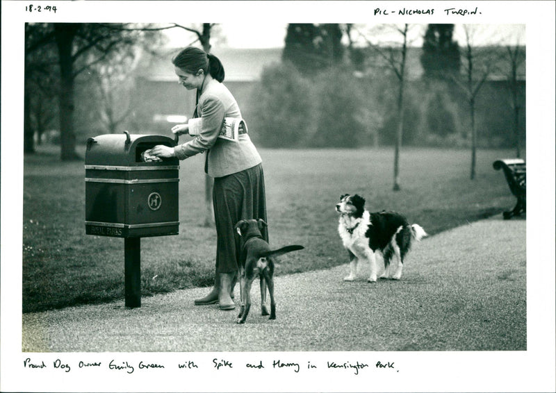 Dogs - Vintage Photograph