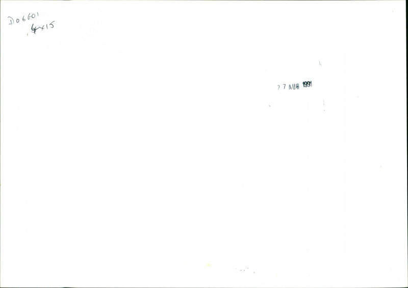 Dogs - Vintage Photograph