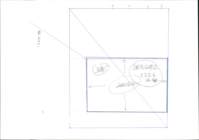 Dogs - Vintage Photograph