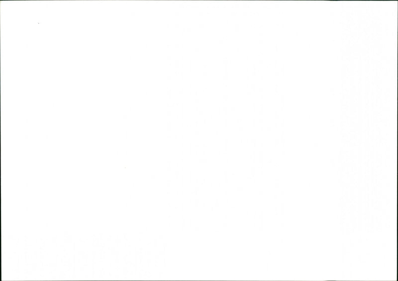 Dogs - Vintage Photograph