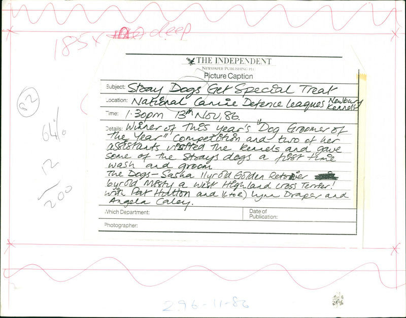 Dogs - Vintage Photograph