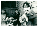 Dogs - Vintage Photograph