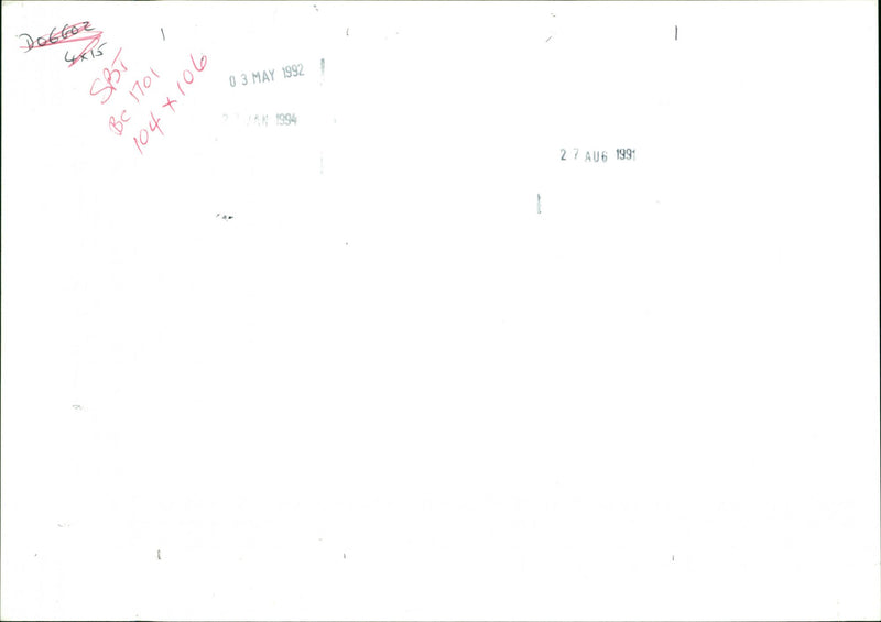 Dogs - Vintage Photograph