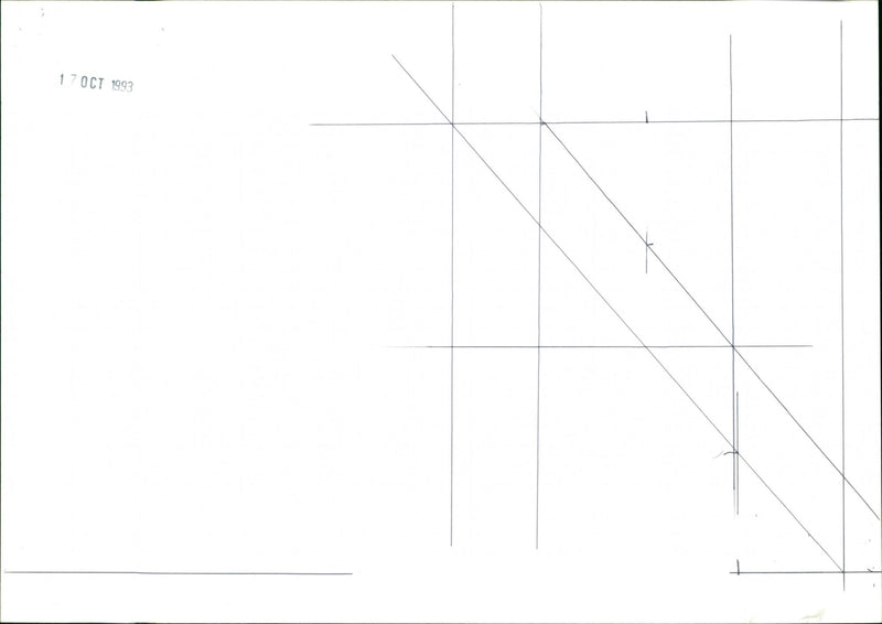 Dogs - Vintage Photograph