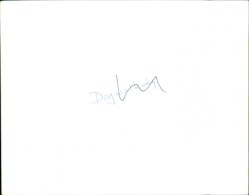 Dogs - Vintage Photograph