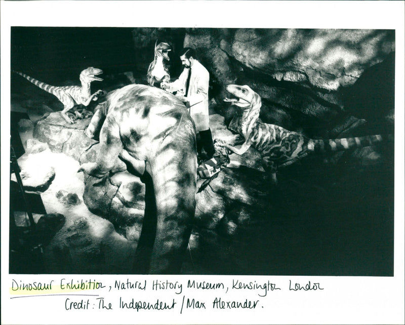 Dinosaur Exhibition, Natural History Museum, Kensington London - Vintage Photograph