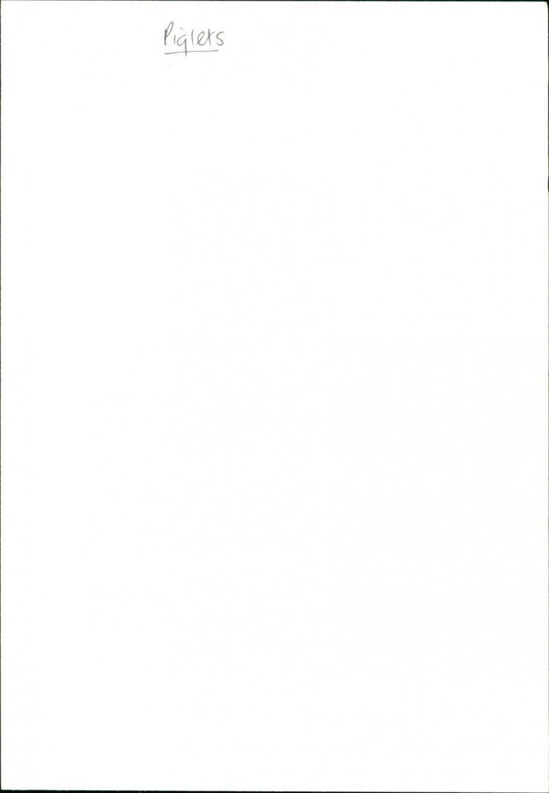 Piglets - Vintage Photograph