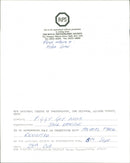 Pigs - Vintage Photograph