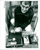 Pigeon - Vintage Photograph