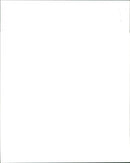 Pigeon - Vintage Photograph