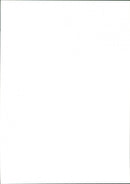 Pigeon - Vintage Photograph