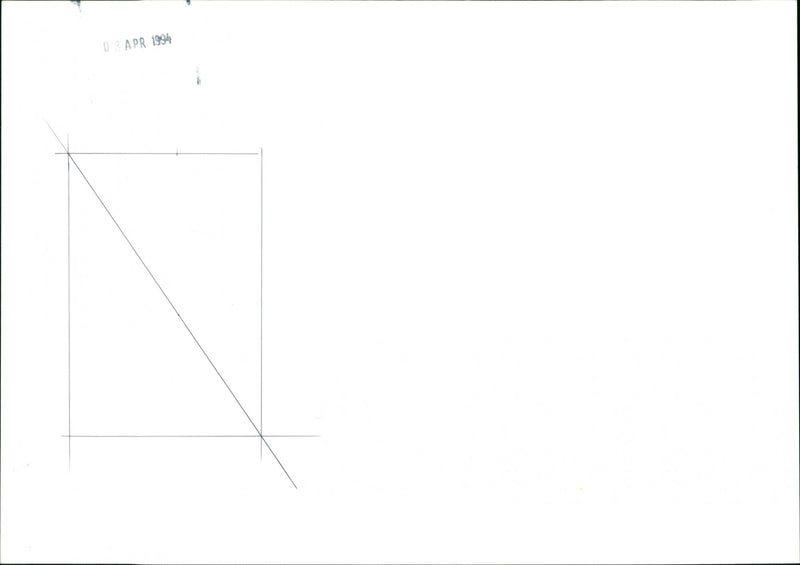 Daffodils - Vintage Photograph