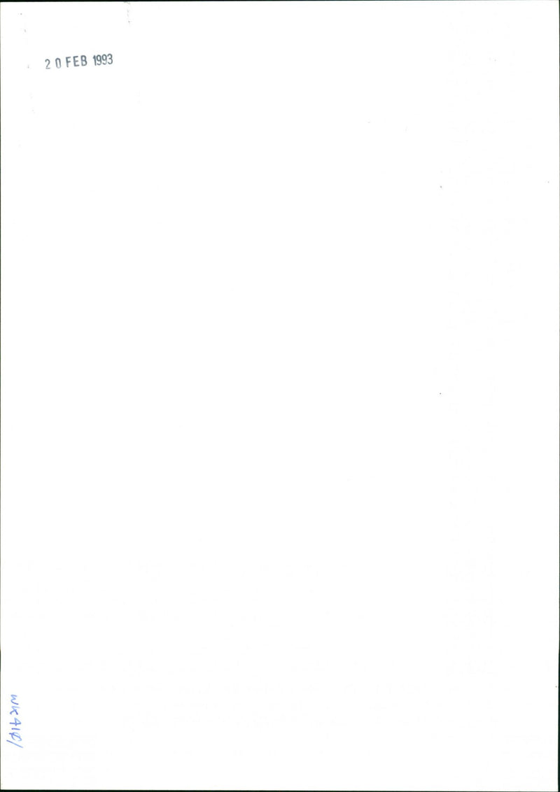 Daffodils - Vintage Photograph