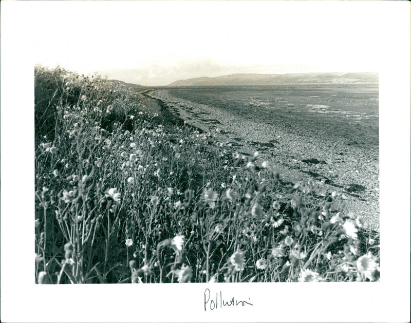 Pollution - Vintage Photograph