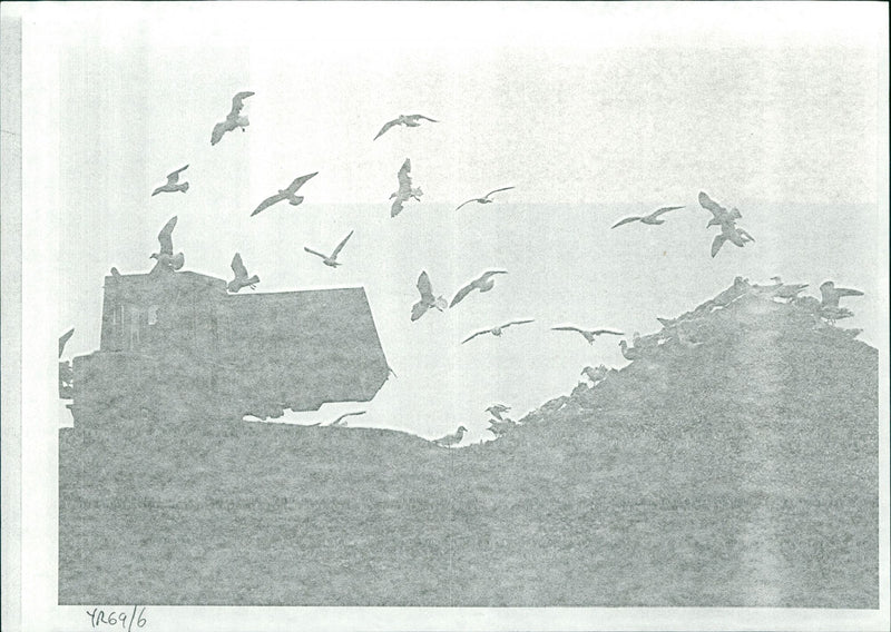 Industrial Pollution - Vintage Photograph