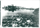 Industrial Pollution - Vintage Photograph