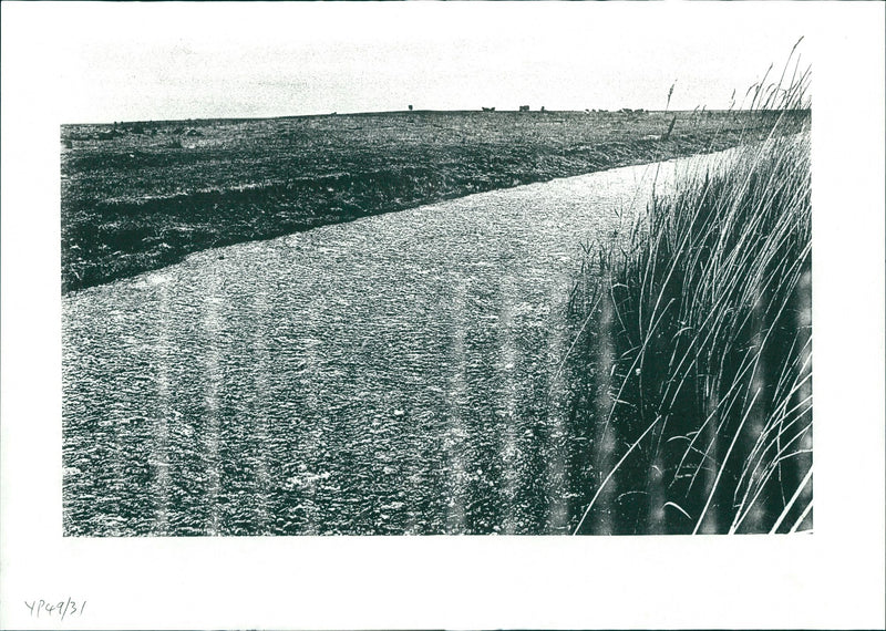 Industrial pollution - Vintage Photograph