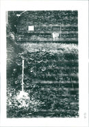 Industrial Pollution - Vintage Photograph