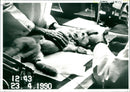2 meny 43 ... 4.1990 ) w / 8 3 x 72 ) , Incly page 2
ANIMAL CRUELTY 7 ( - Vintage Photograph